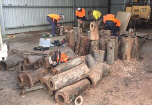 Treetec arborists creating log boxes for use in a large habitat project. Wood was sourced as waste from prior jobs and turned back into wildlife habitat.