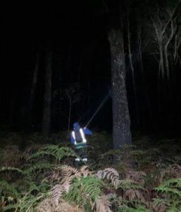 Treetec ecologist using torchlight to survey for arboreal species in the tree canopy. (source: Forest Protection Survey Program).