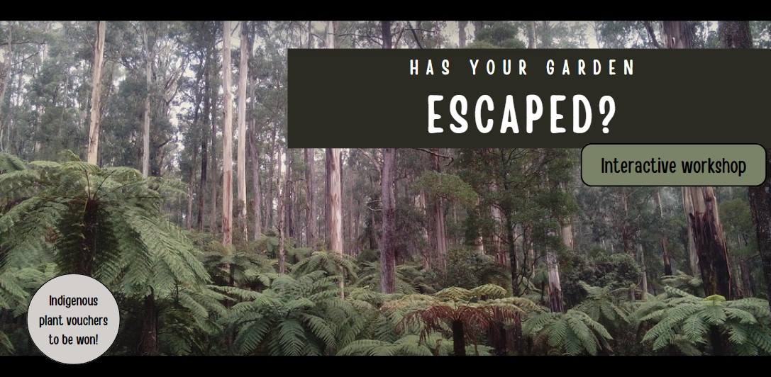 Has Your Garden Escaped a Citizen Science Project in the Dandenong Ranges.